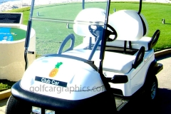 golfcart-design-photo-140-pineapple-1