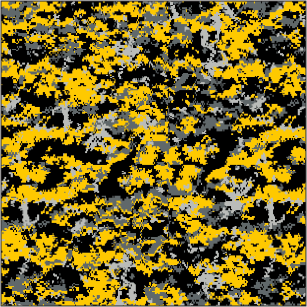 Bombard Yellow