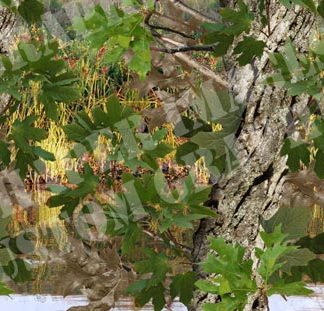 Watery Oak HD Camouflage