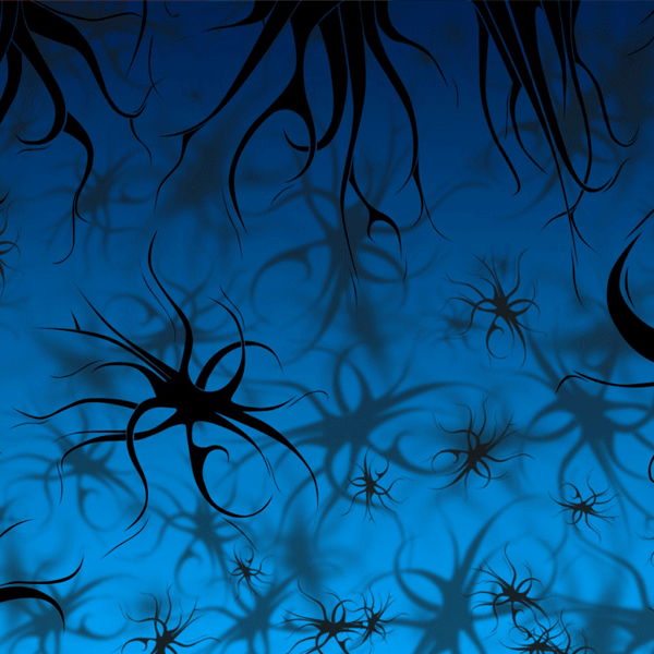 Blue Night Urchins