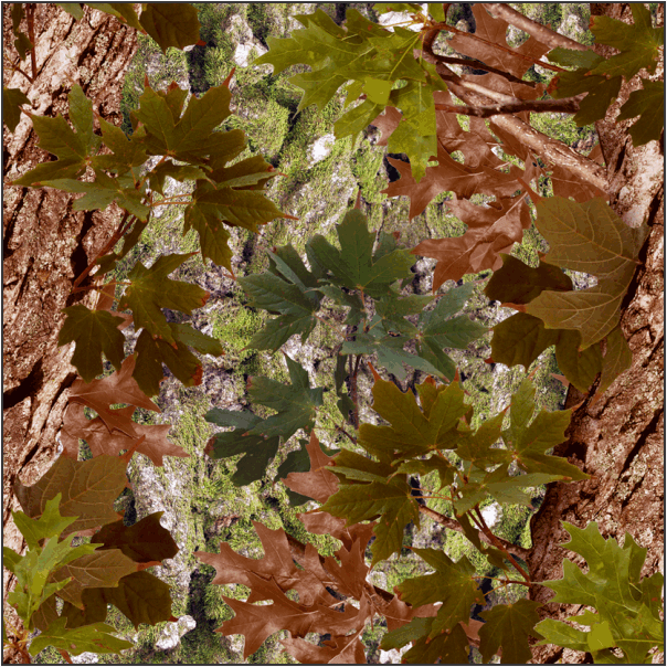 Green Oak