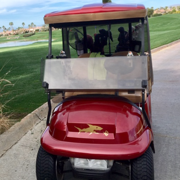 f-07-underwater-chase in Gold metallic shown. Available in many color options you can install it wherever you like on the golf car.