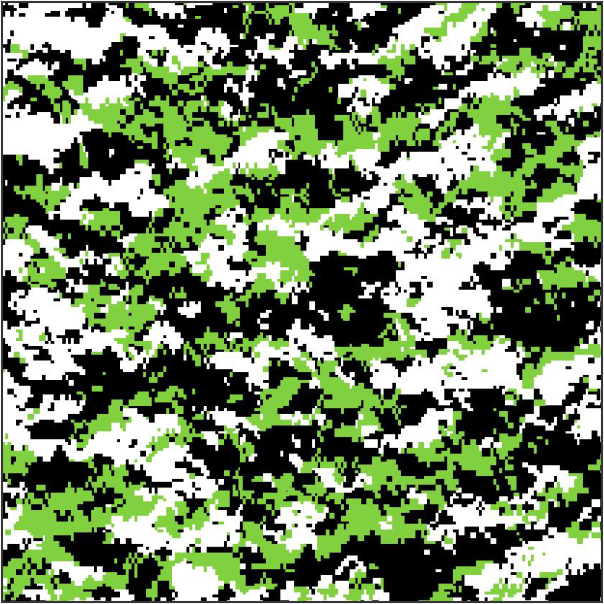 Kawadigi 407