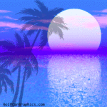 moon-palm-blue wrap pattern