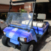 Moon-Palm-Blue-golf-car-wrap