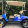 Moon-Palm-Blue full body golf car wrap
