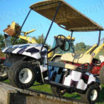 Checkered Flag - Image 4