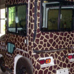 Giraffe - Image 4