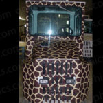 Giraffe - Image 3