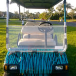 Teal Tiger - Image 5
