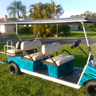Teal Tiger