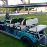 Teal Tiger - Image 3