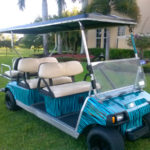 Teal Tiger - Image 2