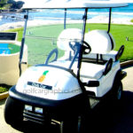 F40 Pineapple Golf Car Graphic