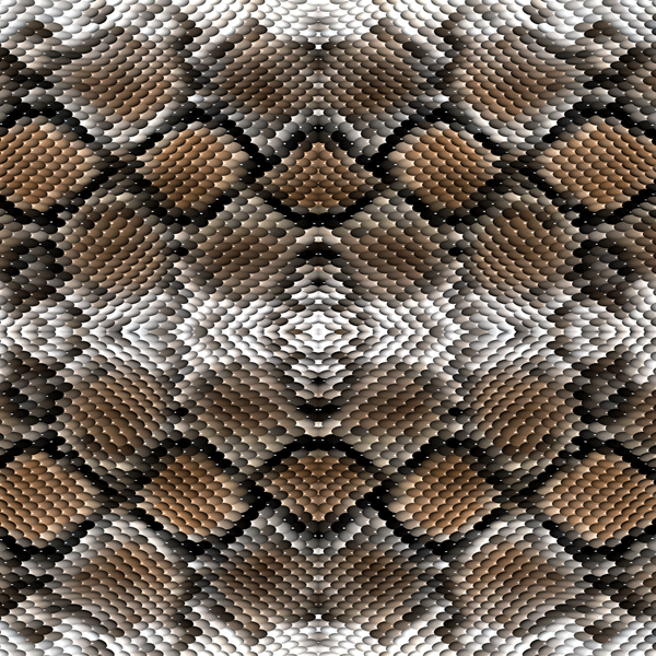 Snake Great White