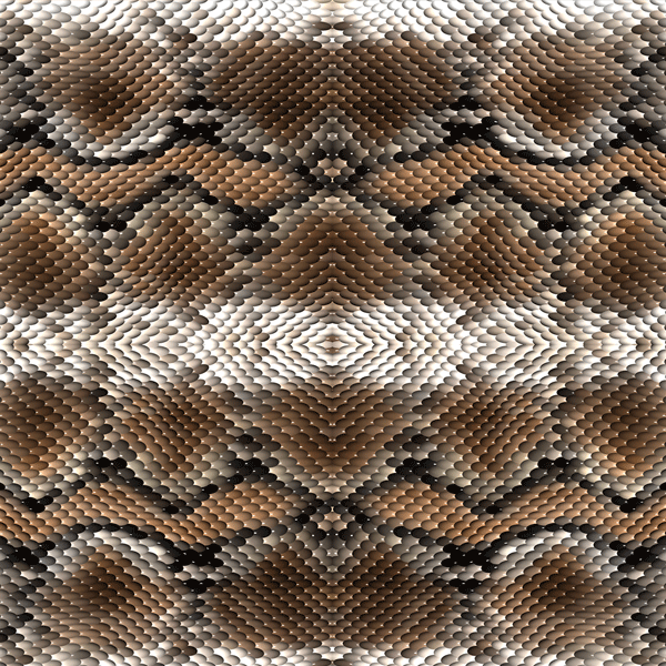 Snake Great Racer Back