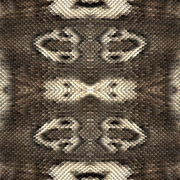 Snake Great Indian