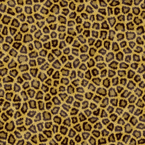 Leopard Skin