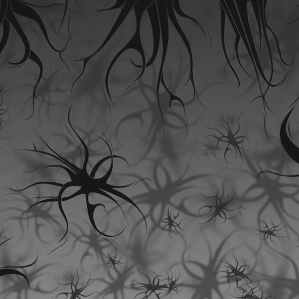 Gray Night Urchins