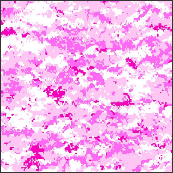 Pink Snow 295