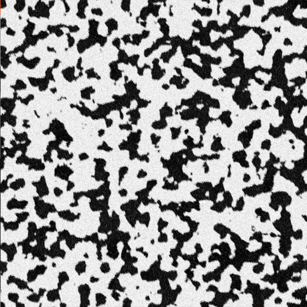 Dalmation