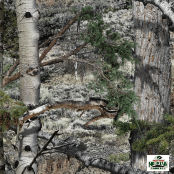 Mossy Oak Mountain Country CAM 601 MOC