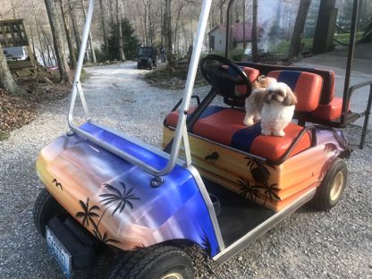 Hawaii-Sunset vinyl wrap kit for golf carts