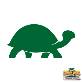 Tortoise
