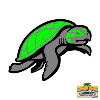 Sea Turtle