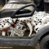 Reaper-Skulls-full-body-golf-cart-wrap